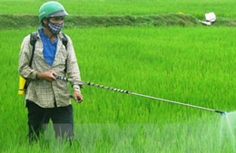 Đề xuất loại bỏ sản phẩm thuốc diệt cỏ có chứa hoạt chất Glyphosate 